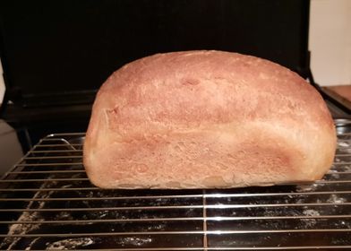 Heather's first loaf